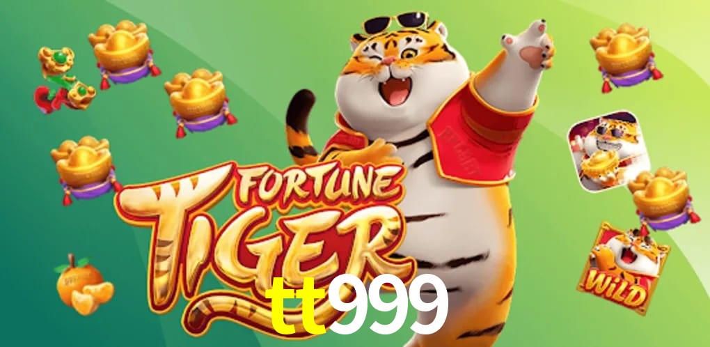 Experiência VIP tt999
